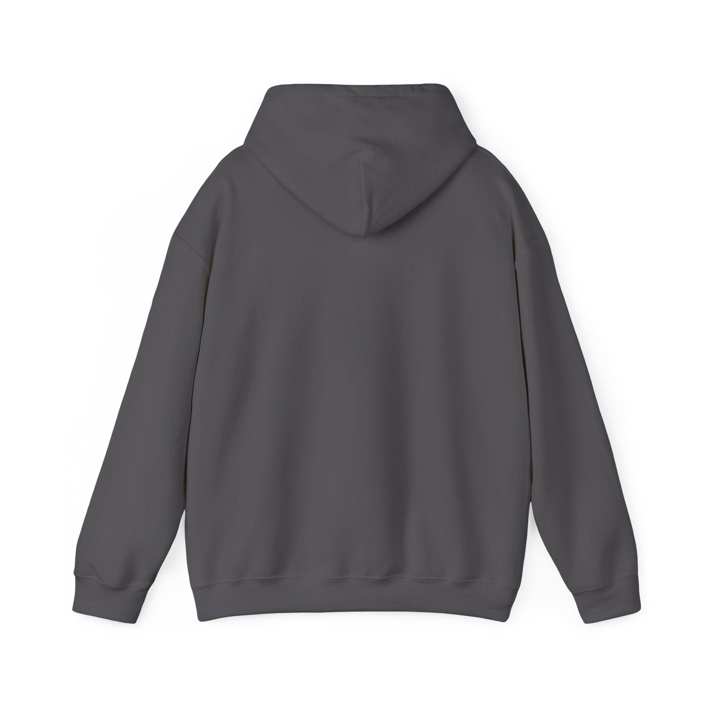 BC/AD He Spent Time Unisex Hoodie